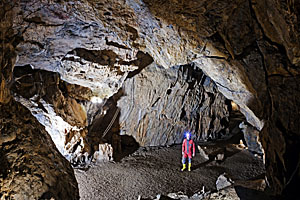 Dechenhöhle Deutsches Höhlenmuseum Bild 10