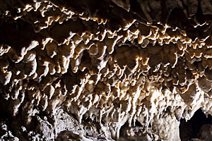 Dechenhöhle Deutsches Höhlenmuseum Bild 12