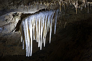 Dechenhöhle Deutsches Höhlenmuseum Bild 5