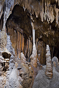 Dechenhöhle Deutsches Höhlenmuseum Bild 7